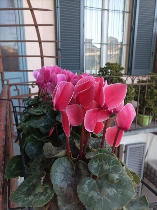 Pane E Tulipani, Cozy Apartment Near City Center Turin Ngoại thất bức ảnh